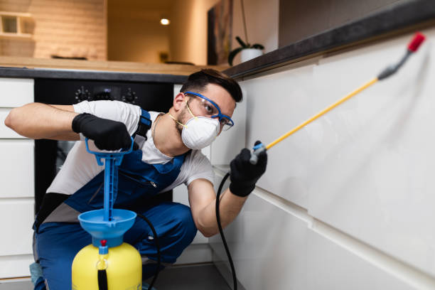 Best Affordable Pest Control Services  in Blue Jay, OH
