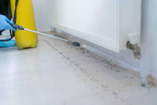 Best Pest Prevention Services  in Blue Jay, OH